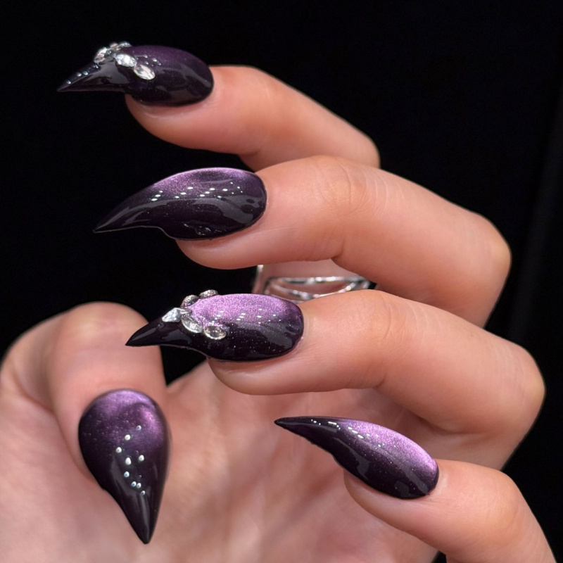 Nail Art Gothic - Curved Long Stiletto Dark Purple Cat